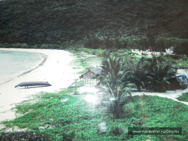 photo 239374