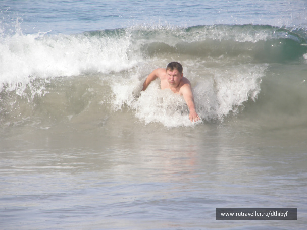 photo 206467
