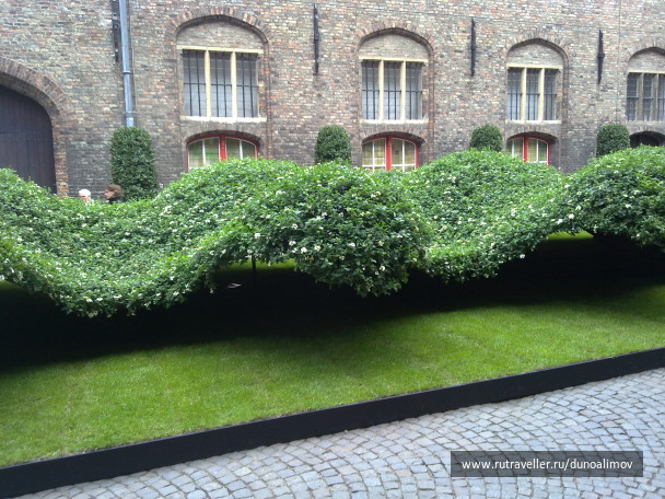 photo 1410715