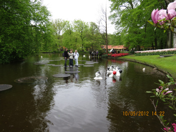 photo 90543