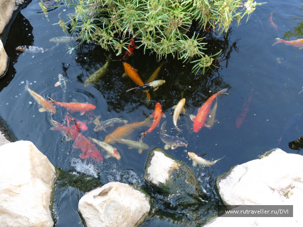 photo 108512