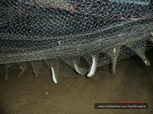 photo 727713