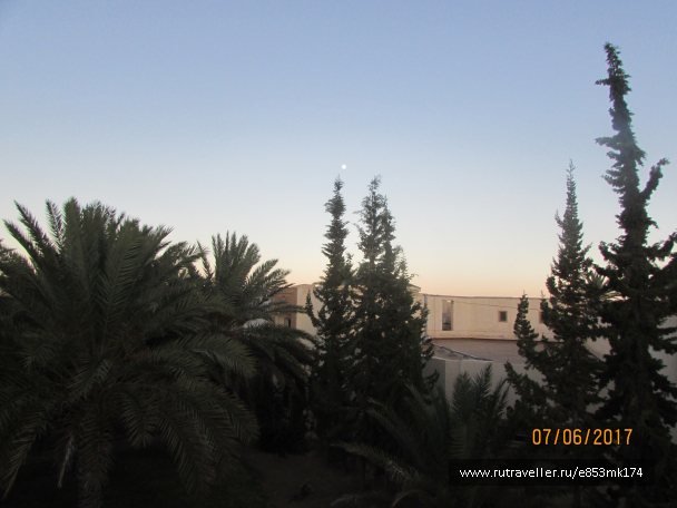 photo 1582796