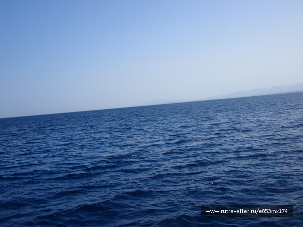 photo 1582856