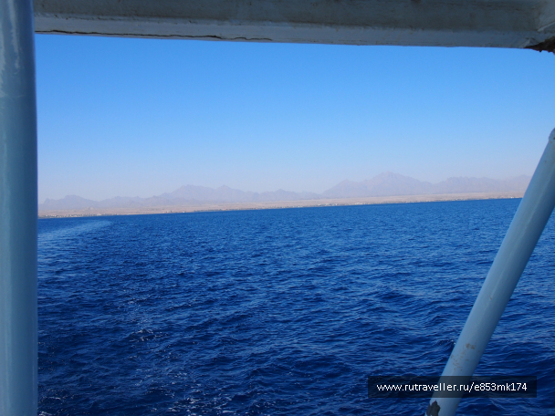 photo 1582879