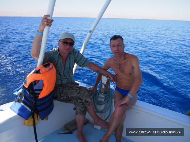 photo 1582881