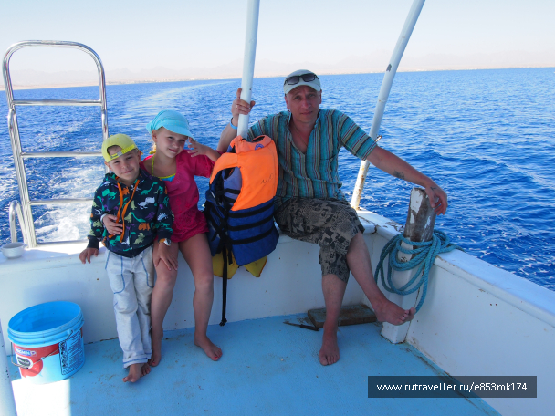 photo 1582884