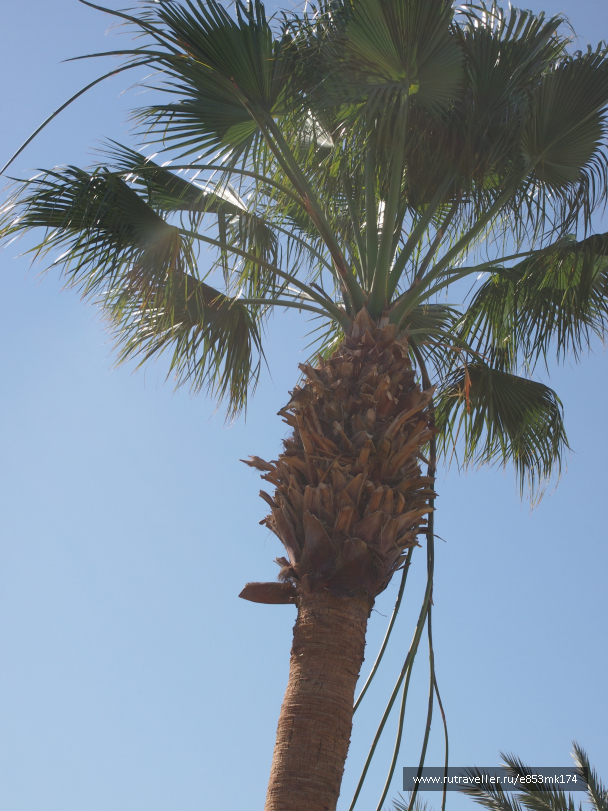 photo 1582924