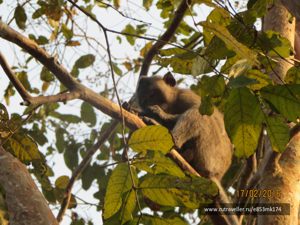 photo 1583045