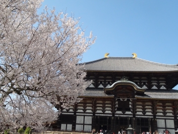 photo 267850