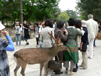 photo 267943