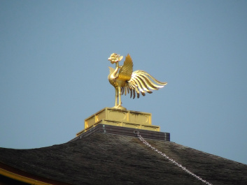 photo 267831