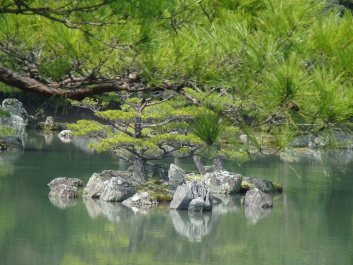 photo 267832