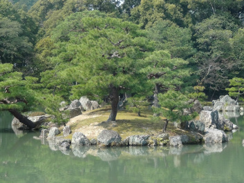 photo 267833