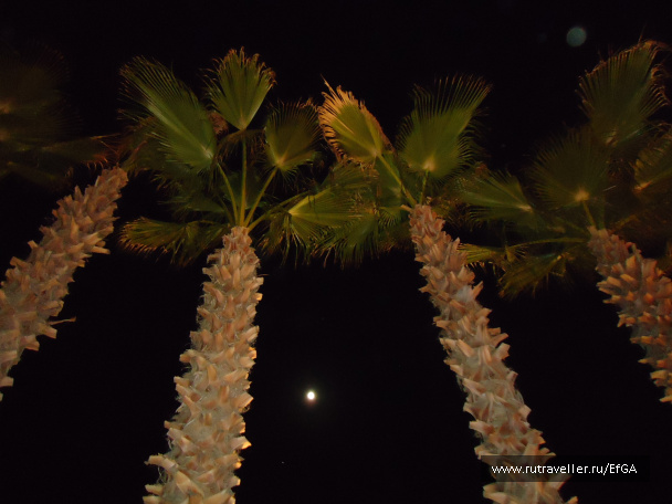 photo 64619