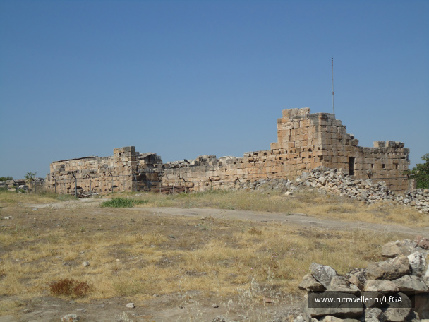 photo 64629