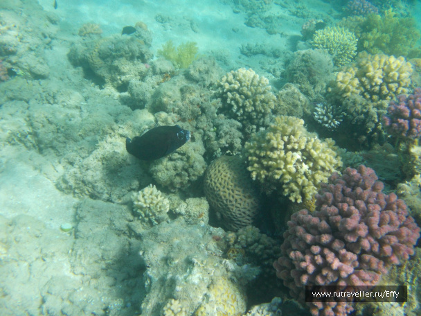 photo 354212