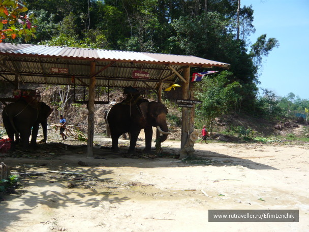 photo 1714064