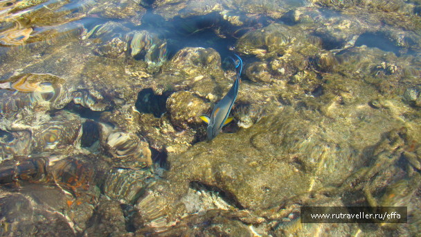 photo 552852