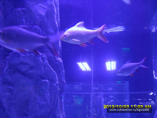photo 187351