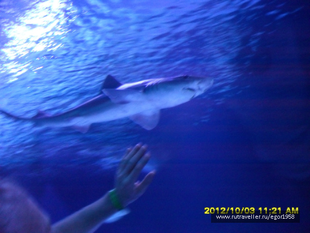 photo 187359