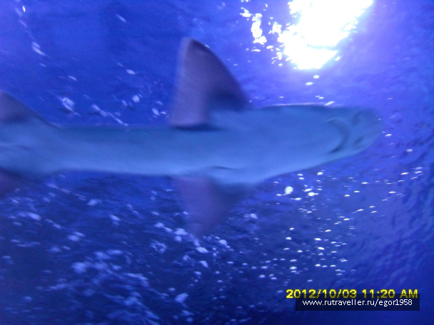 photo 187361