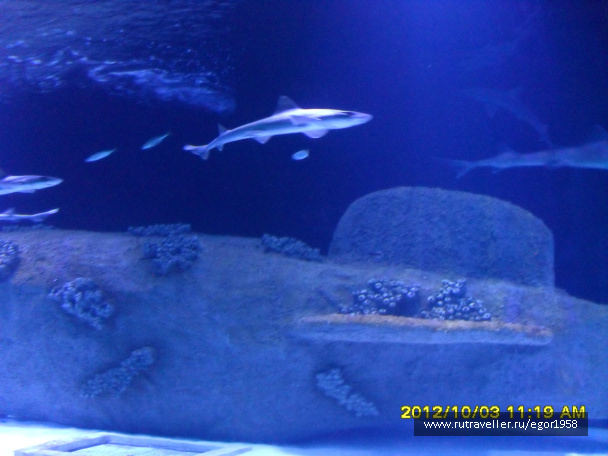 photo 187363