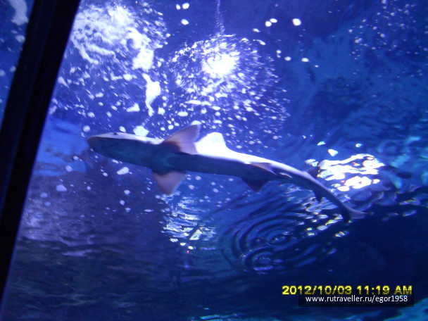 photo 187364