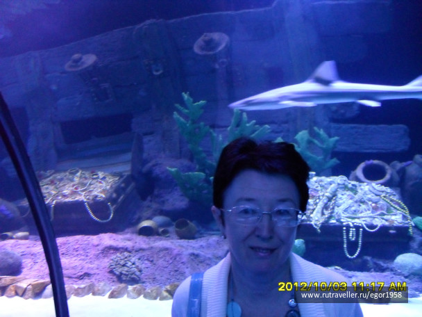 photo 187369