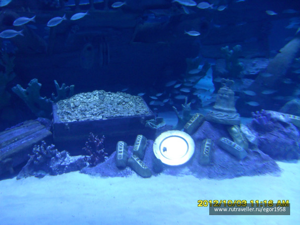 photo 187371