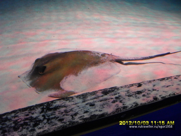 photo 187373