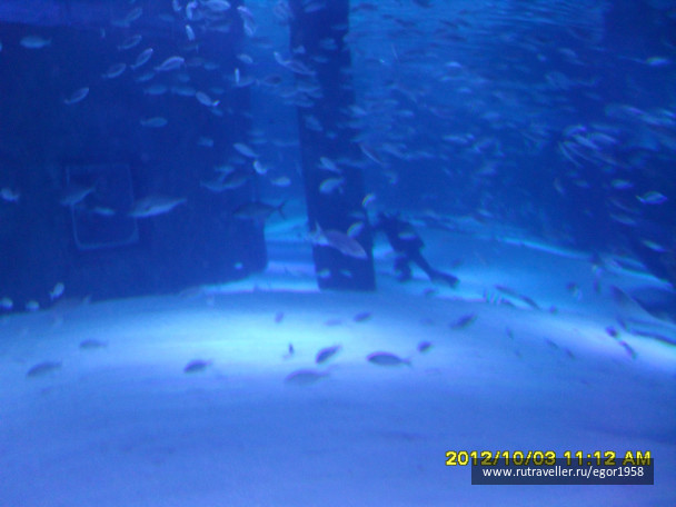 photo 187376