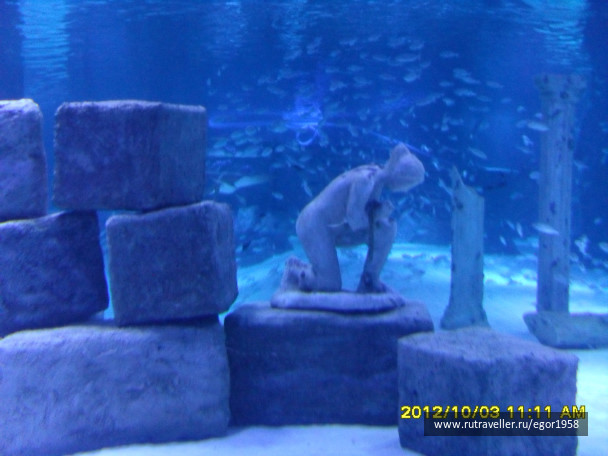 photo 187378