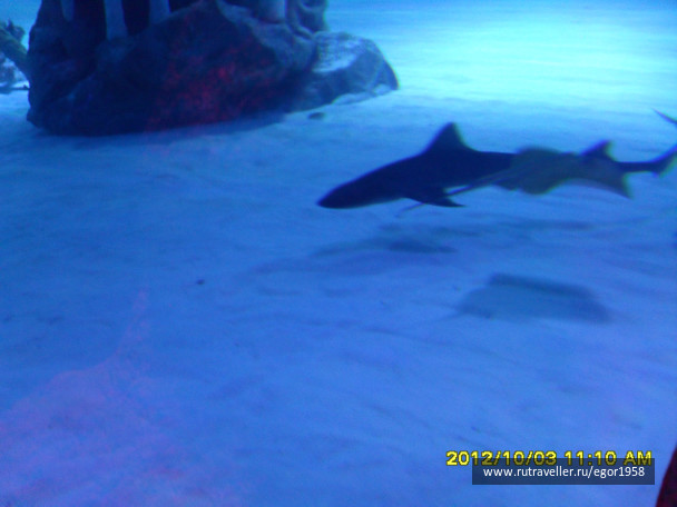 photo 187381