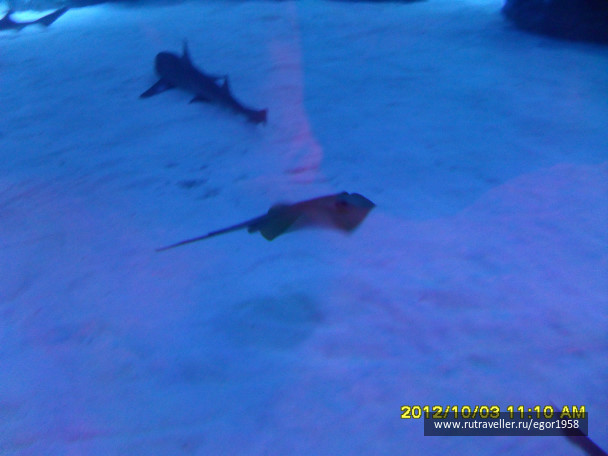 photo 187382