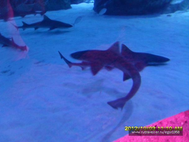 photo 187383