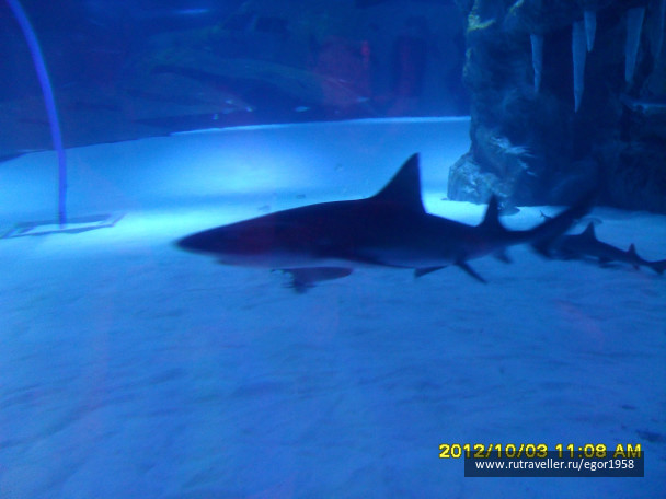 photo 187386