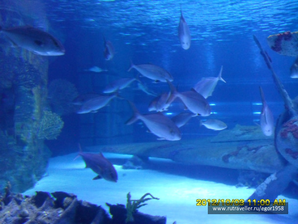 photo 187396
