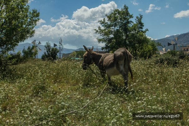 photo 786596