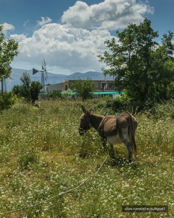 photo 786597