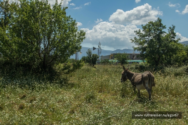 photo 786598