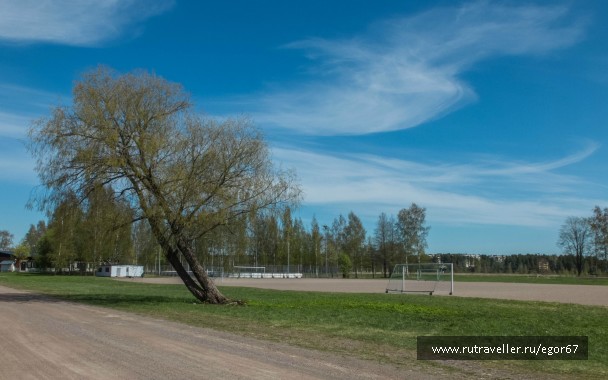 photo 790739