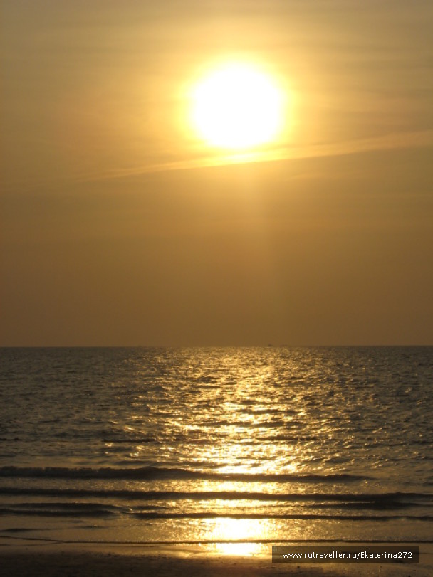 photo 103713