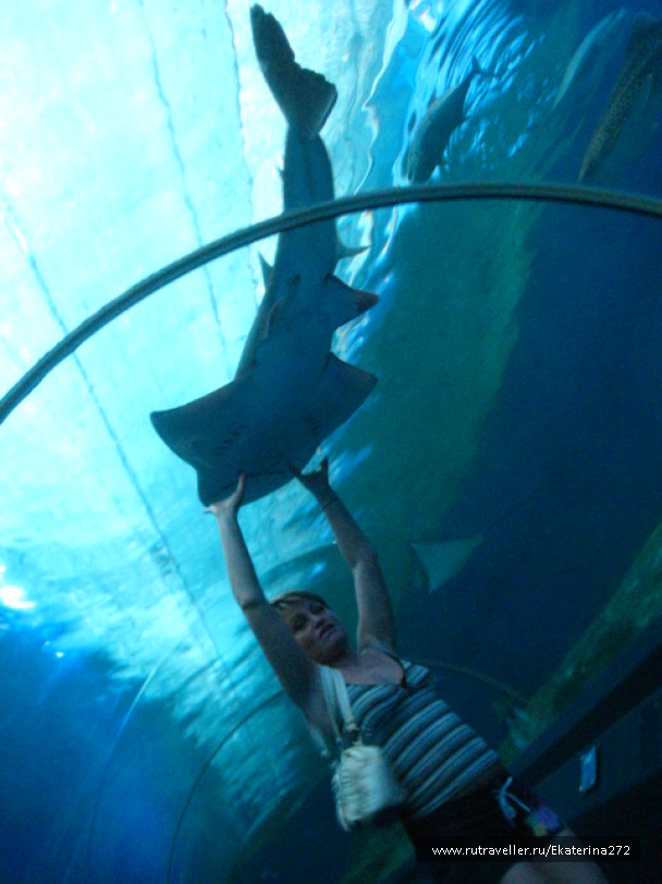 photo 103724