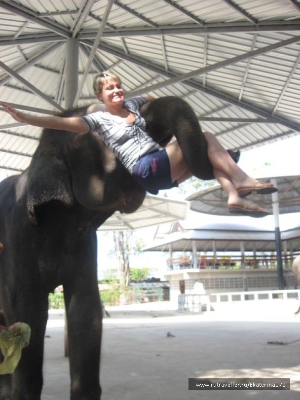 photo 103726