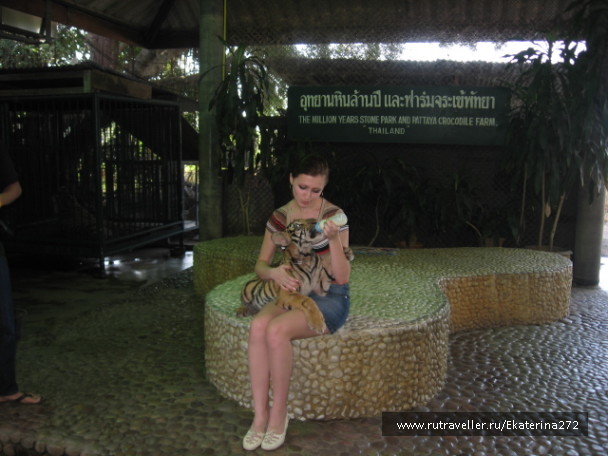 photo 103727