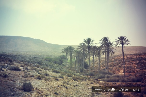 photo 512223
