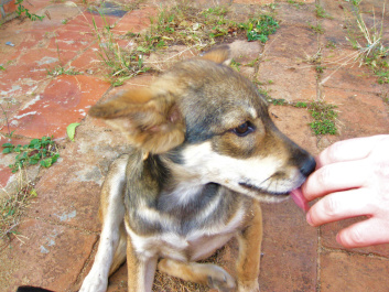 photo 288917