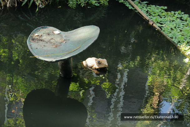 photo 293434