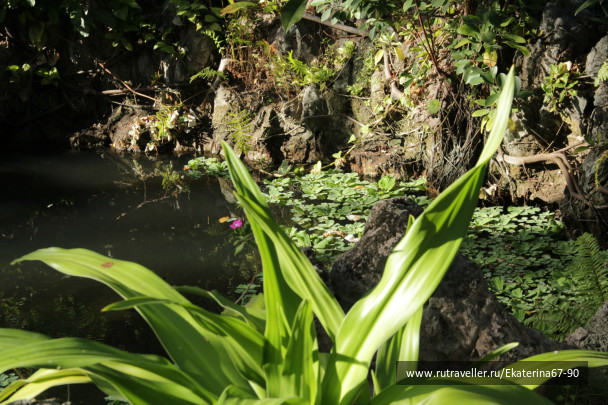 photo 293440
